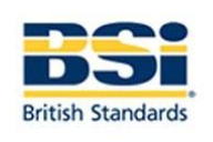 BSI Logo